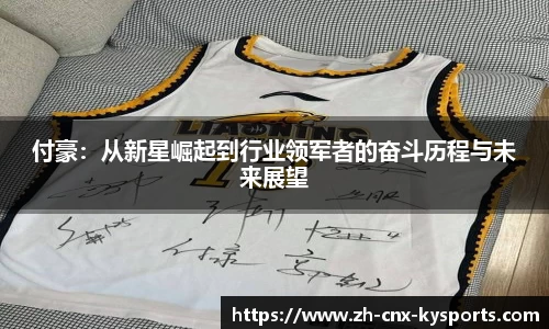 付豪：从新星崛起到行业领军者的奋斗历程与未来展望