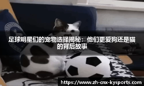 足球明星们的宠物选择揭秘：他们更爱狗还是猫的背后故事